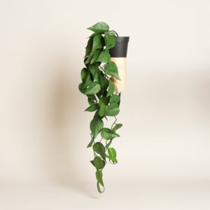 Maceta Con Planta Artificial Hojas Colgante