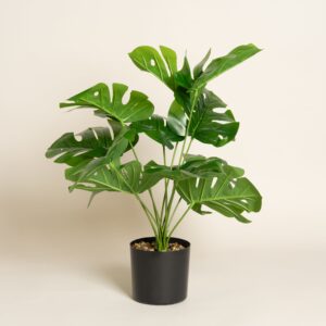 Planta Artificial Adan